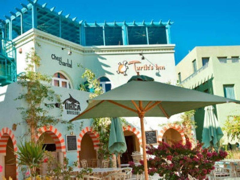 Turtle's Hurghada